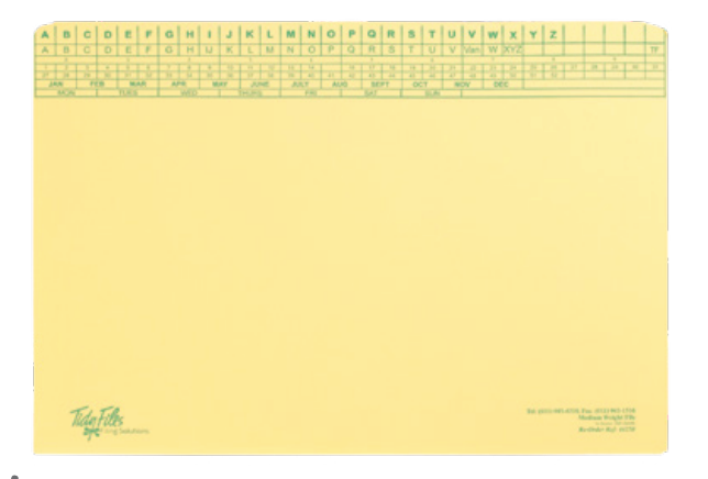 Tidy Files - Economy Medium Weight Files